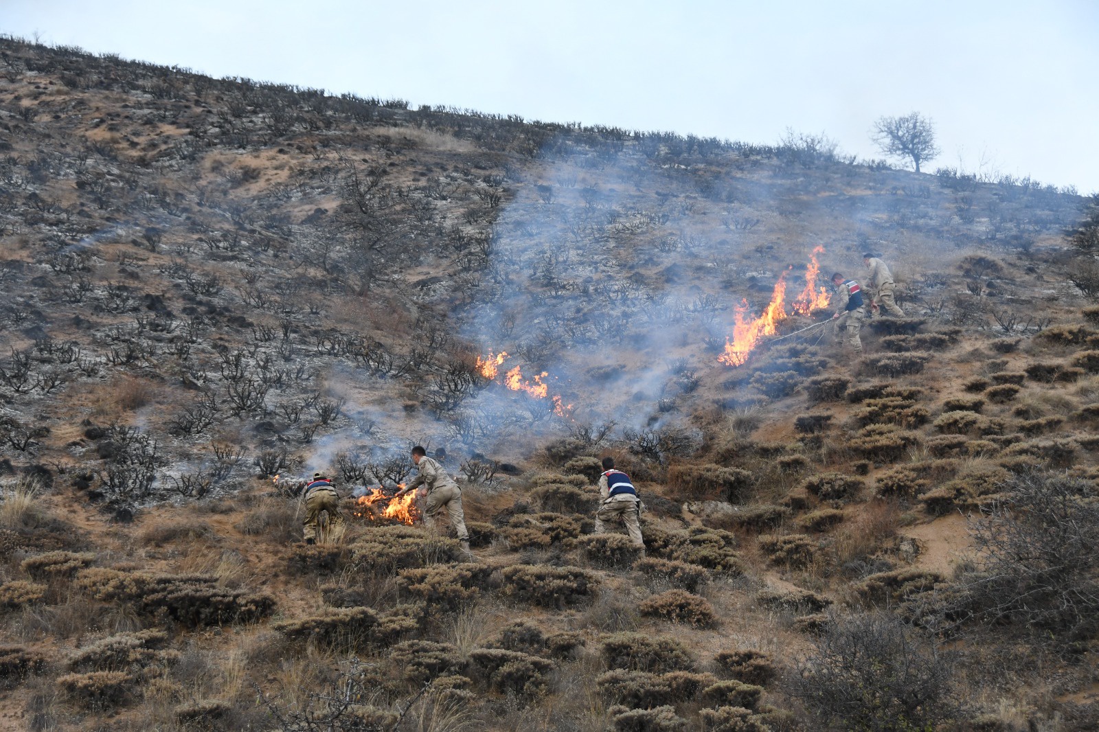 Gümüşhane'deki örtü yangınında 5 hektarlık alan zarar gördü 10