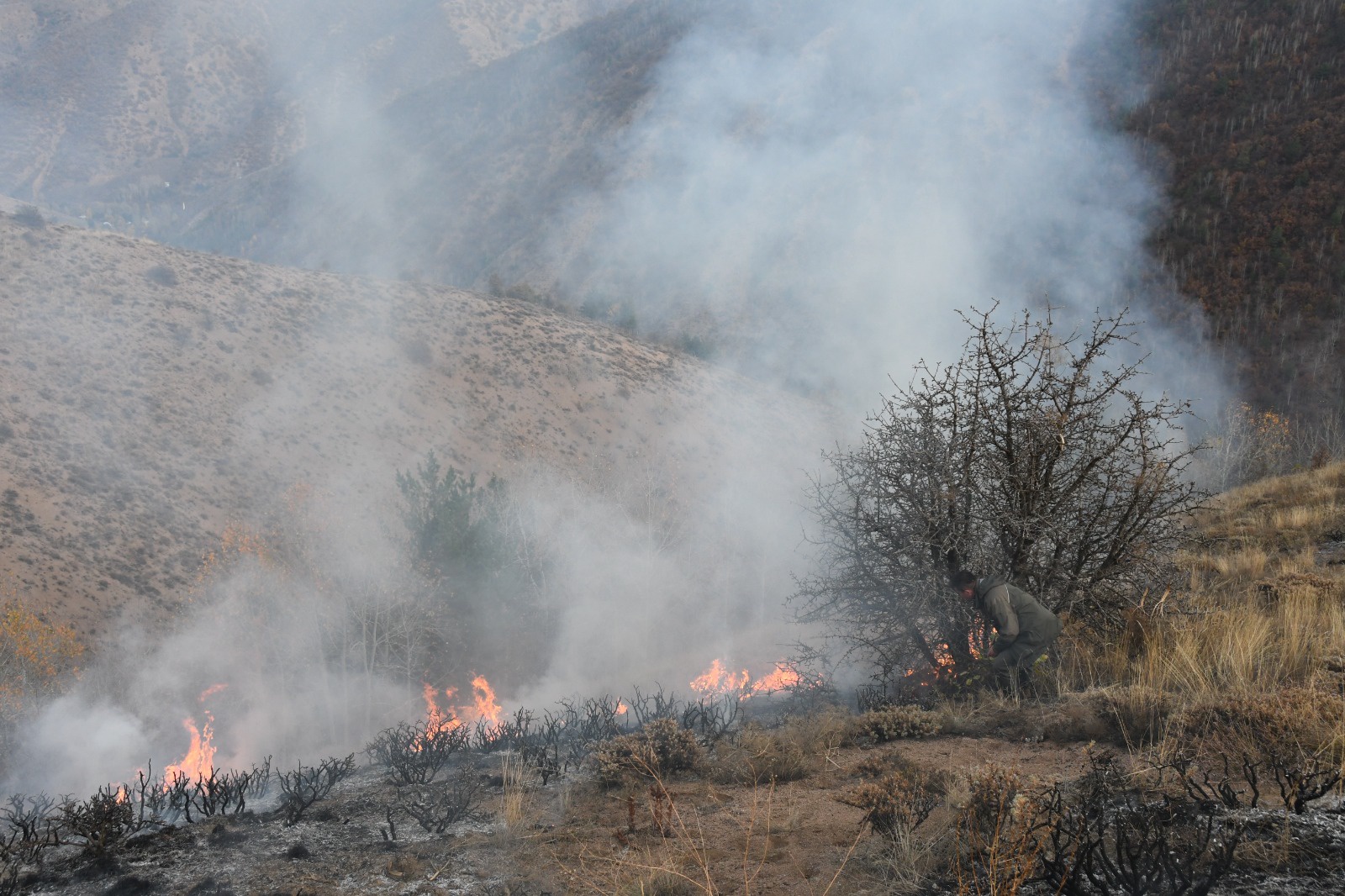 Gümüşhane'deki örtü yangınında 5 hektarlık alan zarar gördü 5