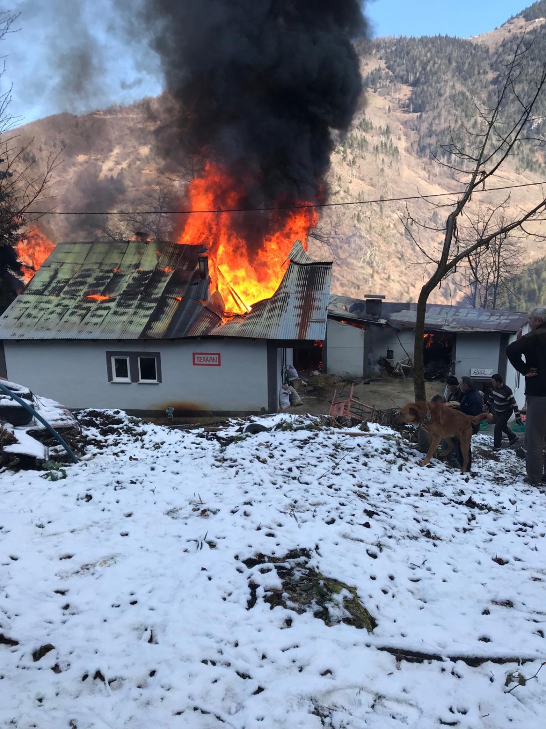 Kürtün'de korkutan yangın 13