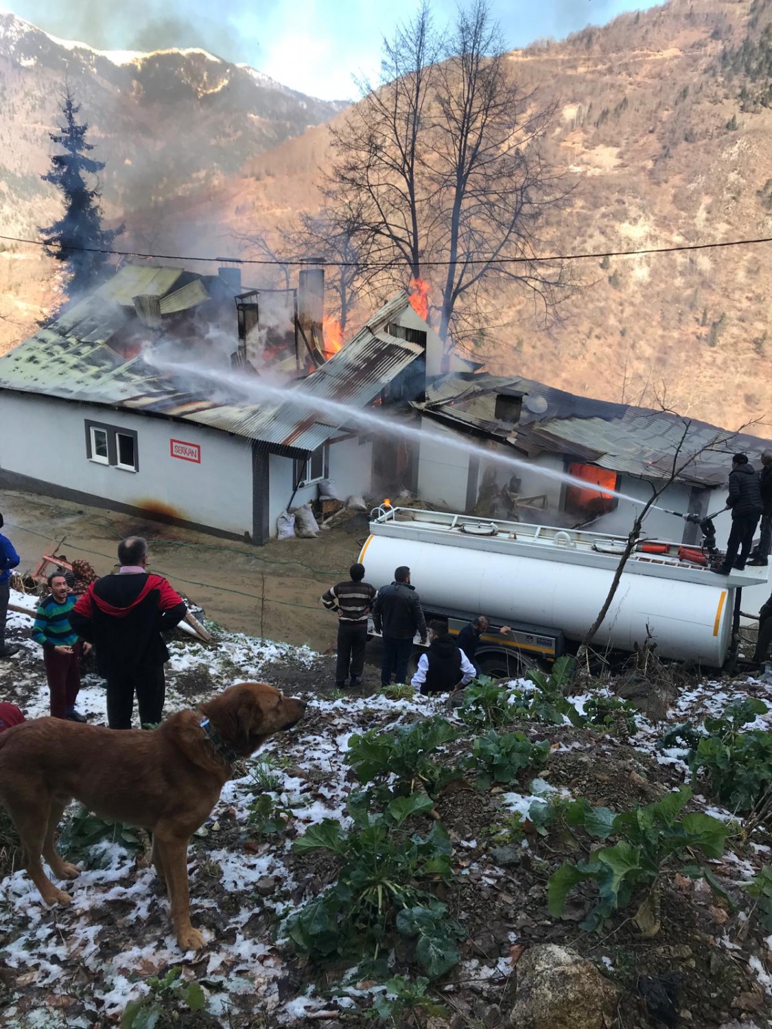 Kürtün'de korkutan yangın 14