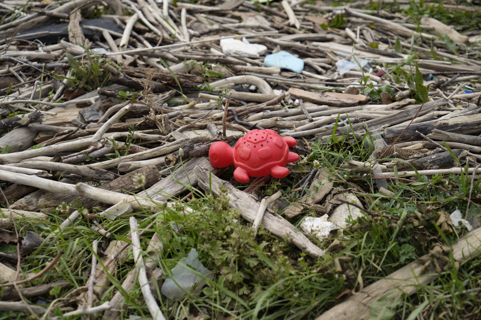 Torul Barajında yine aynı manzara 5