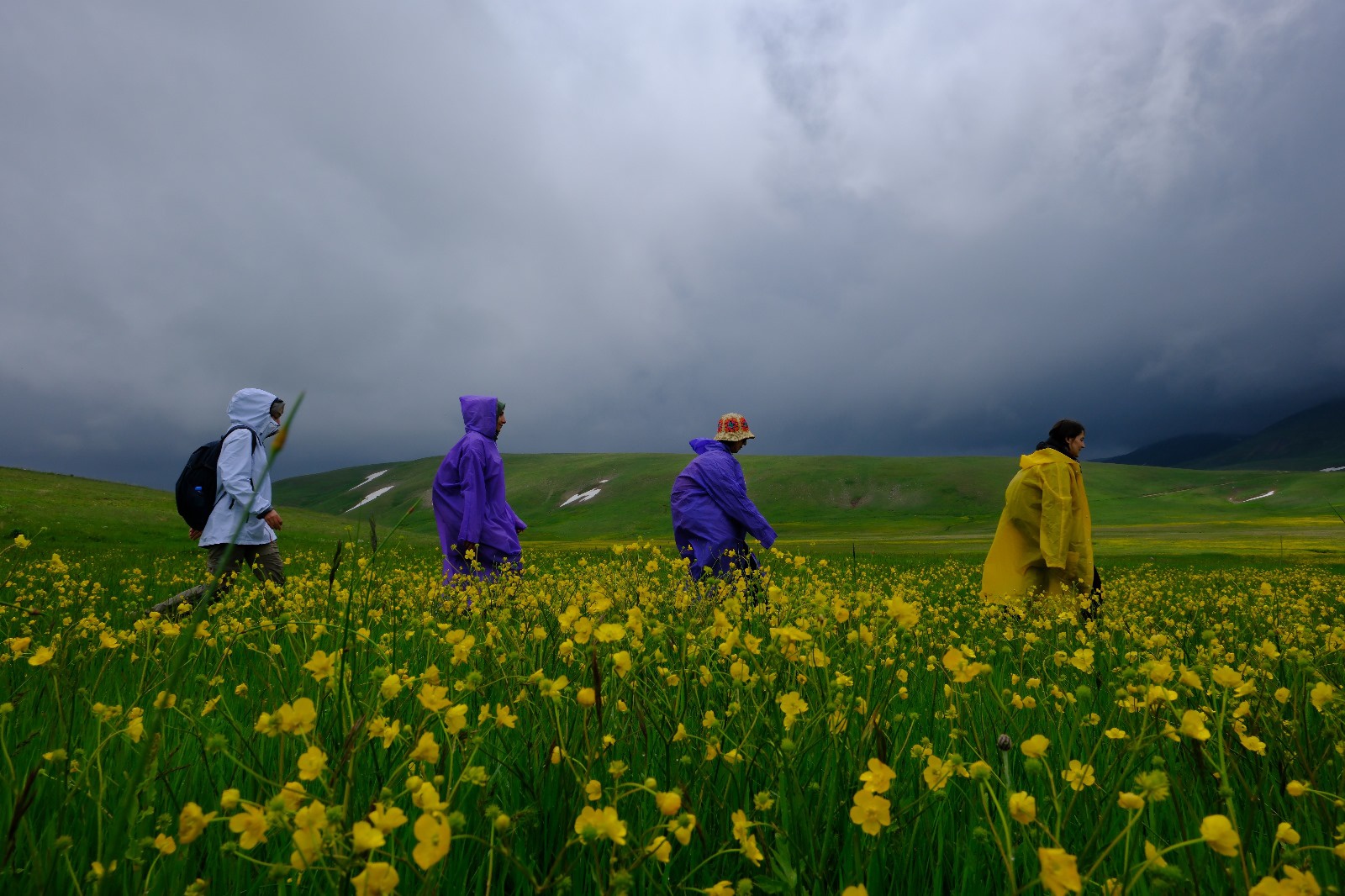 Cami Yurdu Yaylası baharın renk cümbüşüyle sarıya büründü 14