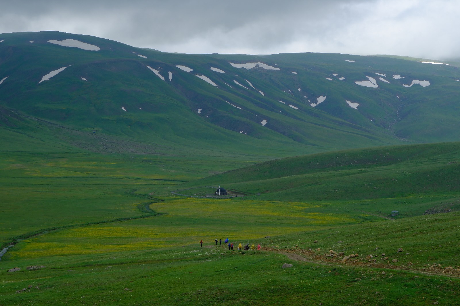 Cami Yurdu Yaylası baharın renk cümbüşüyle sarıya büründü 5