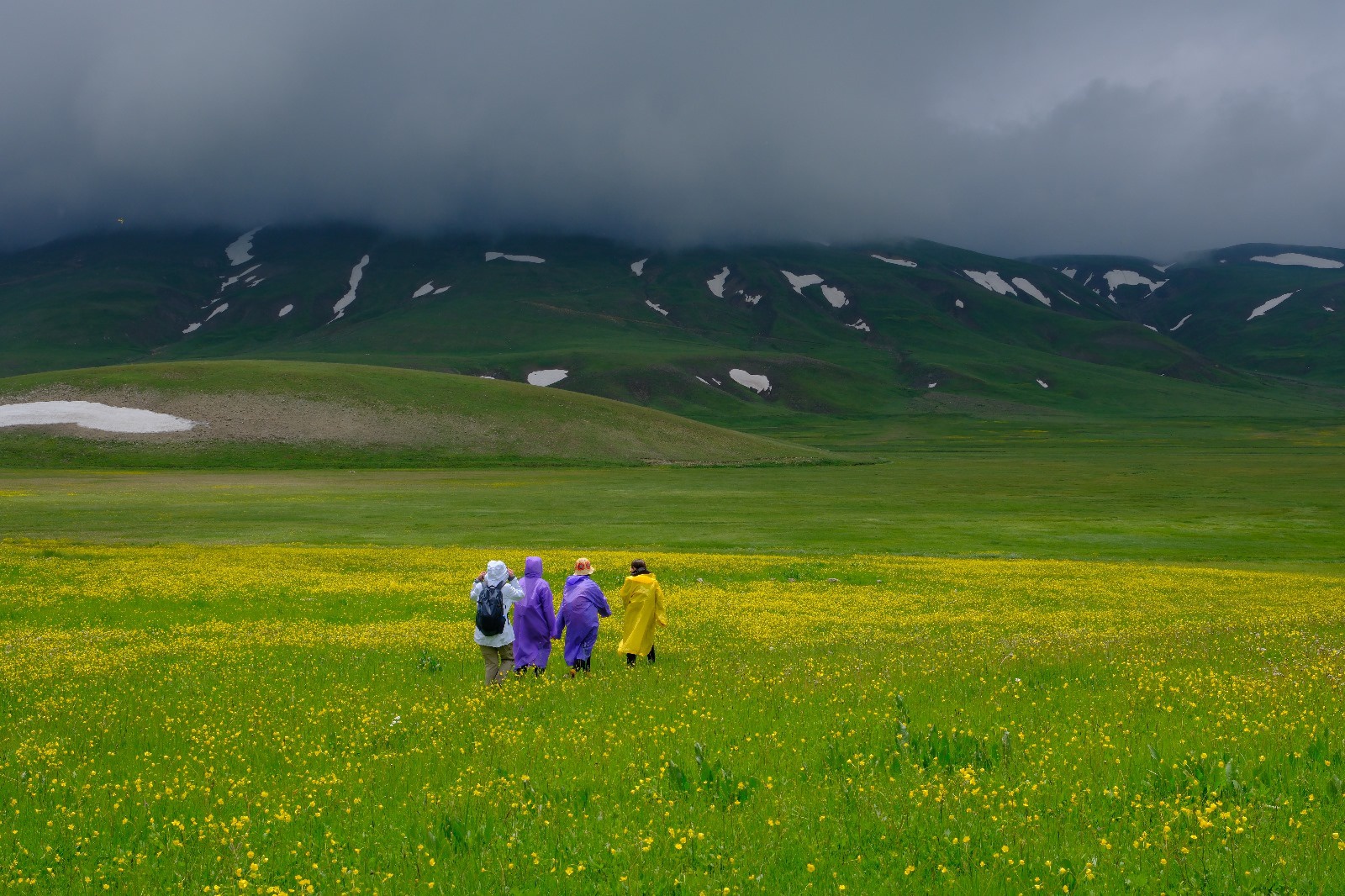 Cami Yurdu Yaylası baharın renk cümbüşüyle sarıya büründü 12