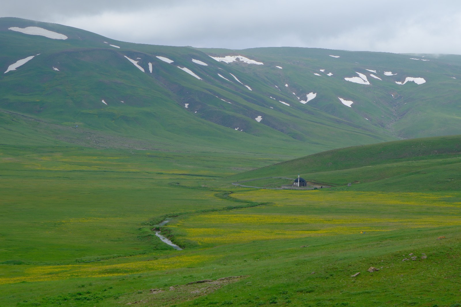 Cami Yurdu Yaylası baharın renk cümbüşüyle sarıya büründü 13