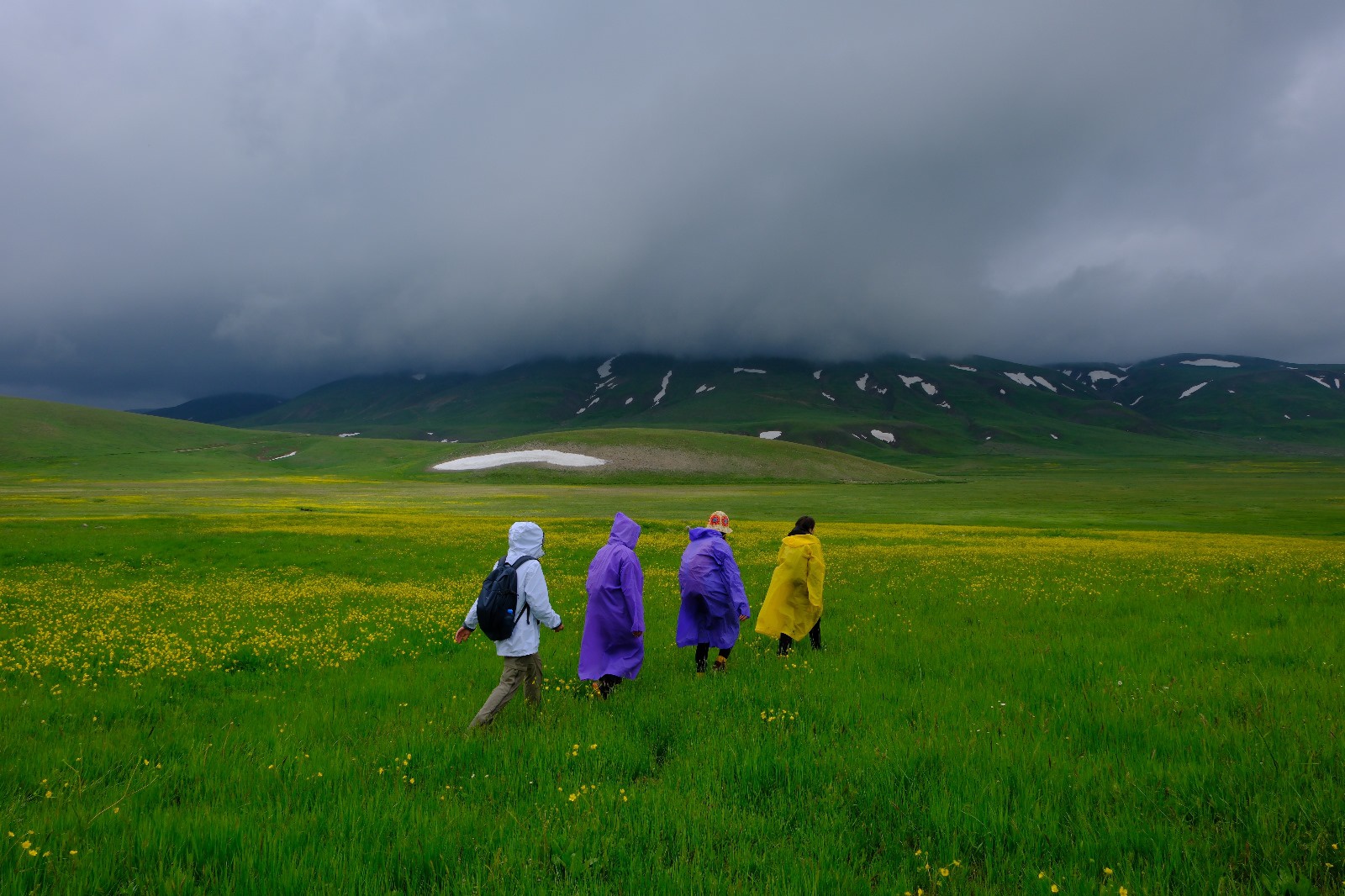 Cami Yurdu Yaylası baharın renk cümbüşüyle sarıya büründü 8