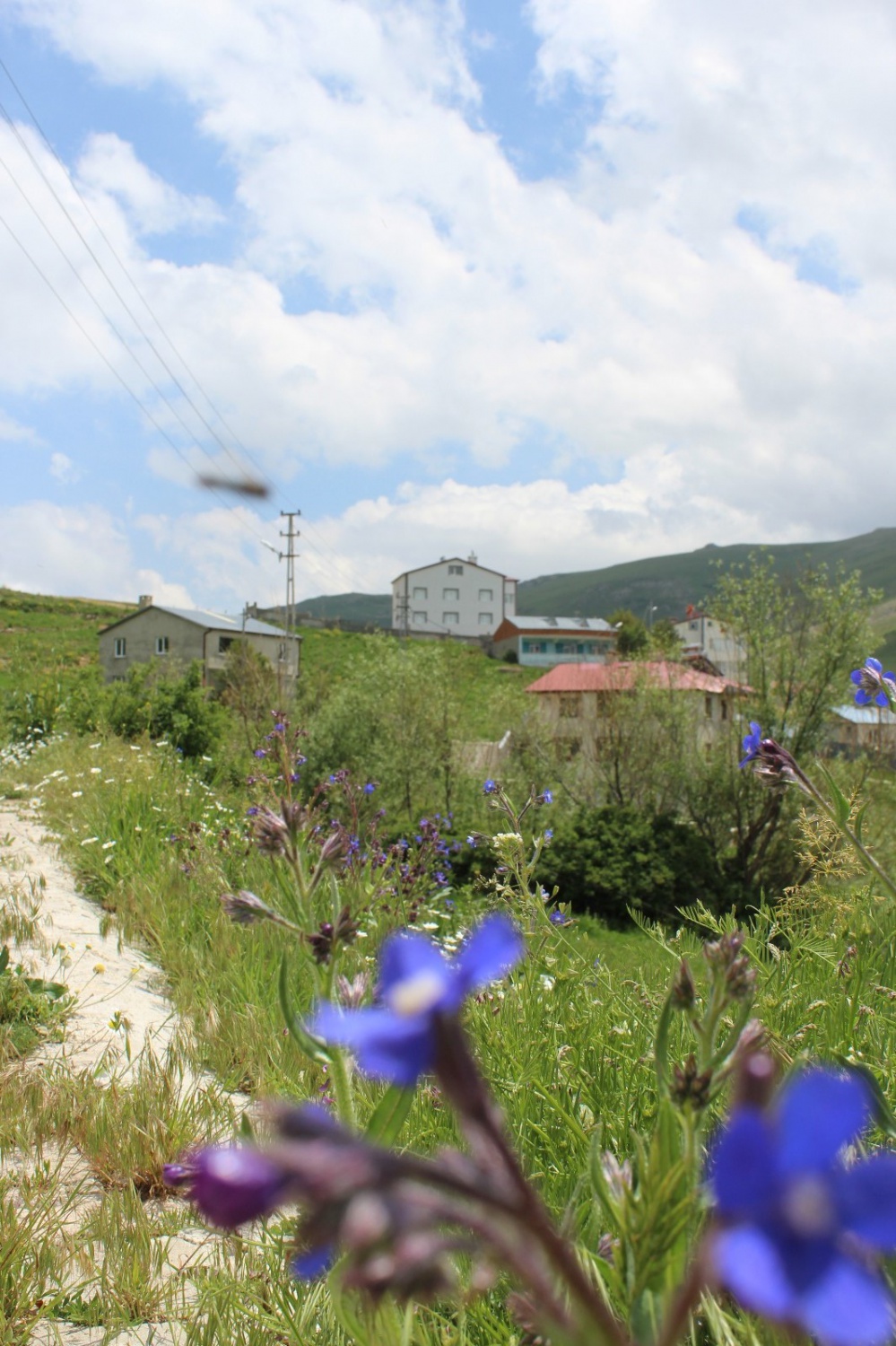 İzciler Sarıçiçek köyünü keşfe çıktı 4