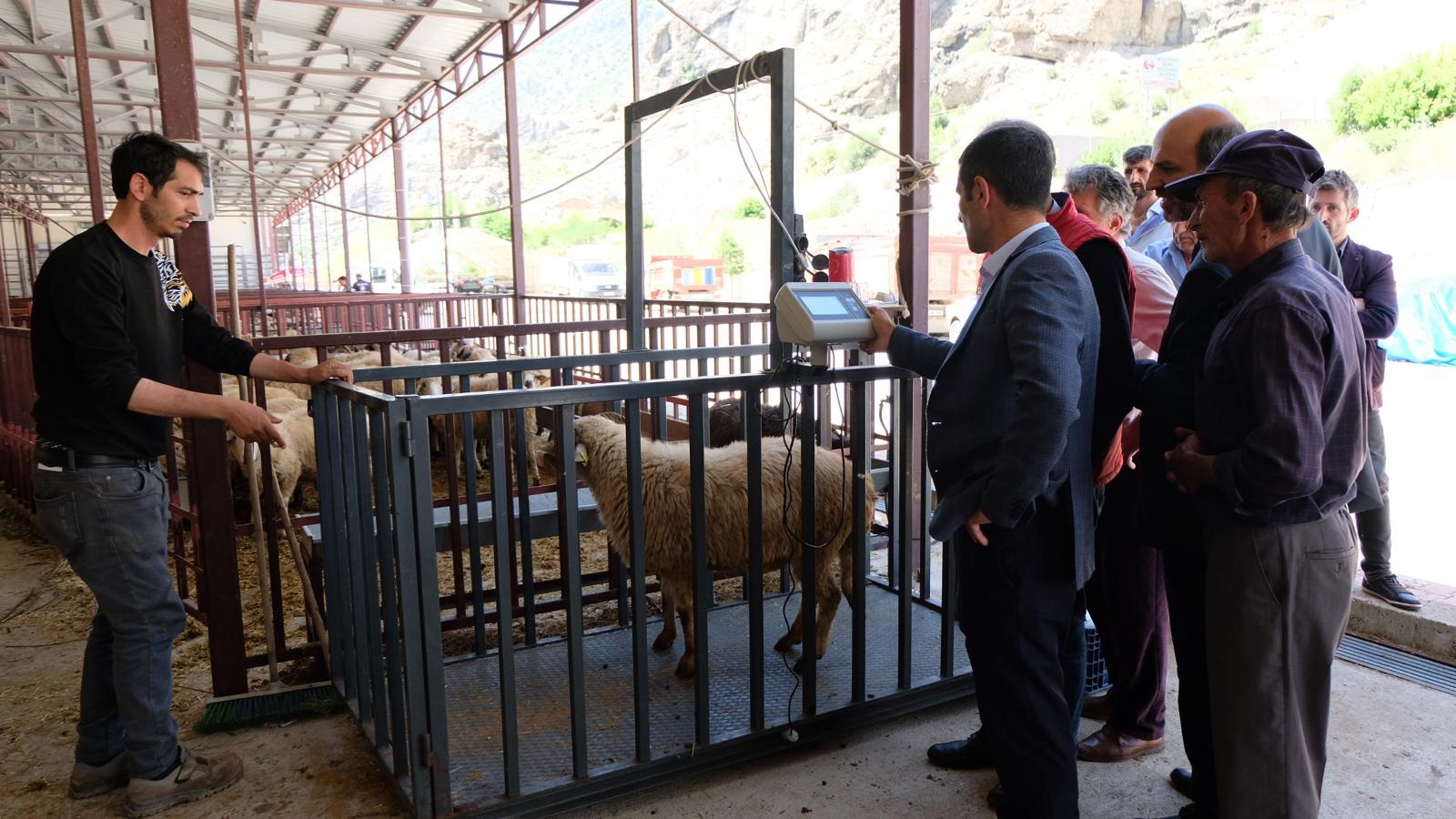 Hem besici hem vatandaş umduğunu bulamadı 6