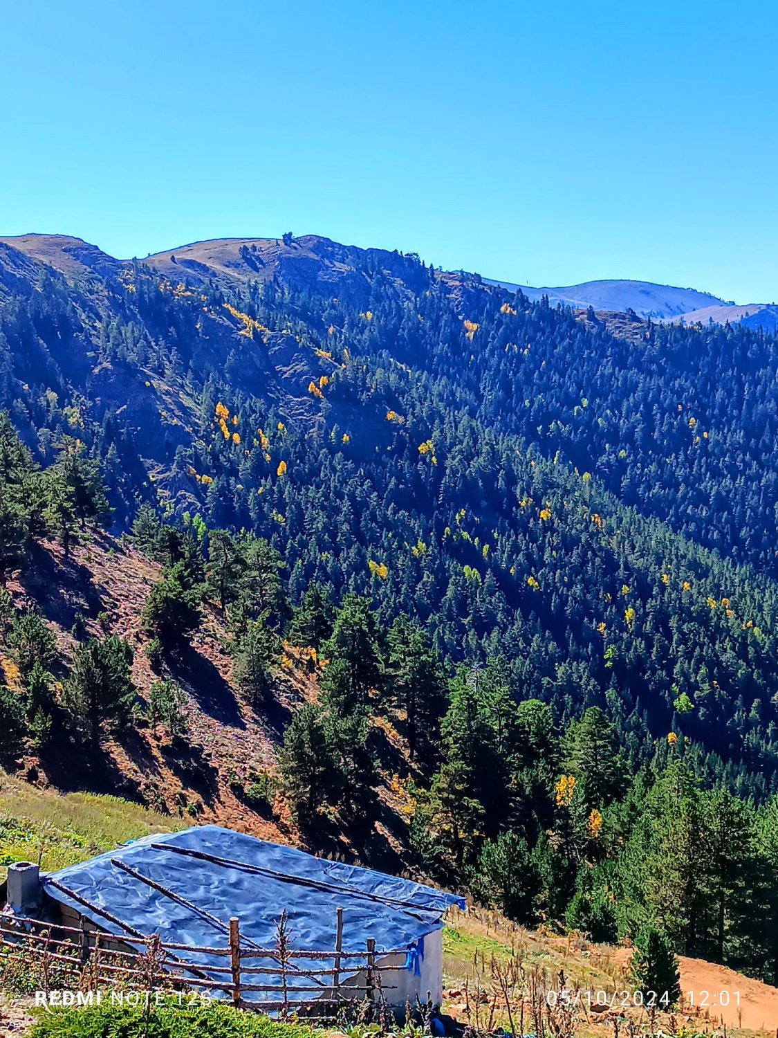 Gümüşhane İzcilik Doğa Spor Kulübü'nden Dünya Yürüyüş Günü Etkinliği 4