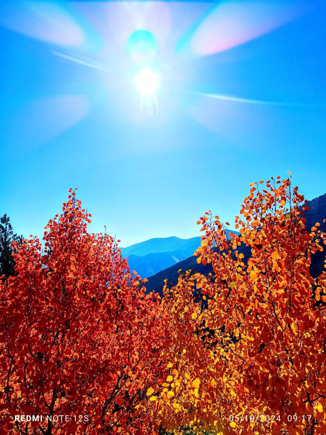 Gümüşhane İzcilik Doğa Spor Kulübü'nden Dünya Yürüyüş Günü Etkinliği 3