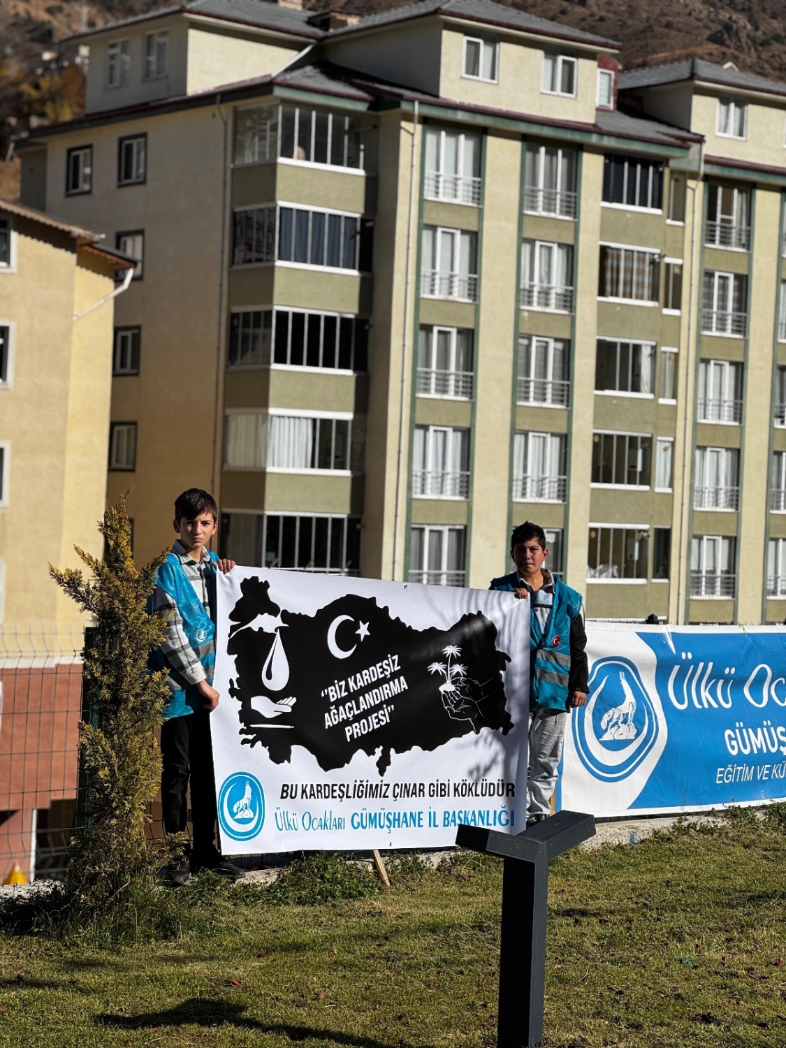 Ülkü Ocakları çınar ağaçlarını toprakla buluşturdu 5