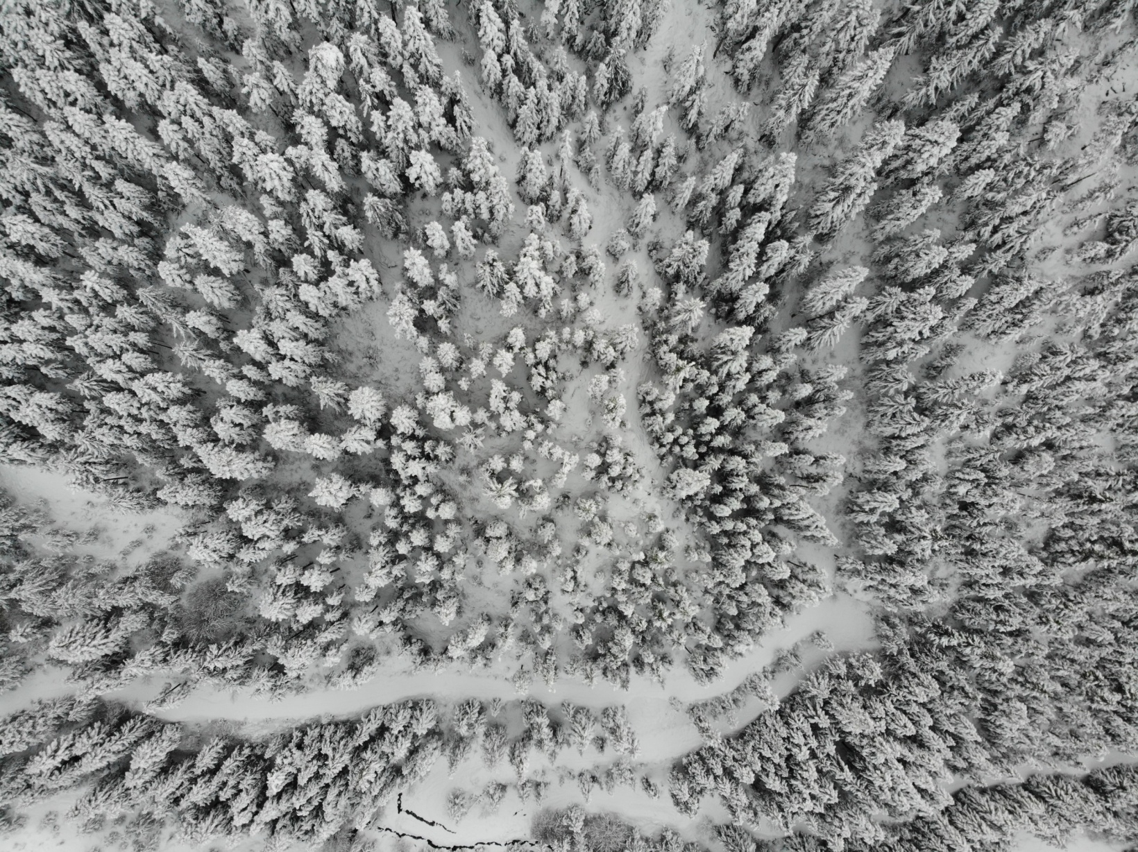 Zigana Dağı kar yağışının ardından eşsiz güzelliğe büründü 5