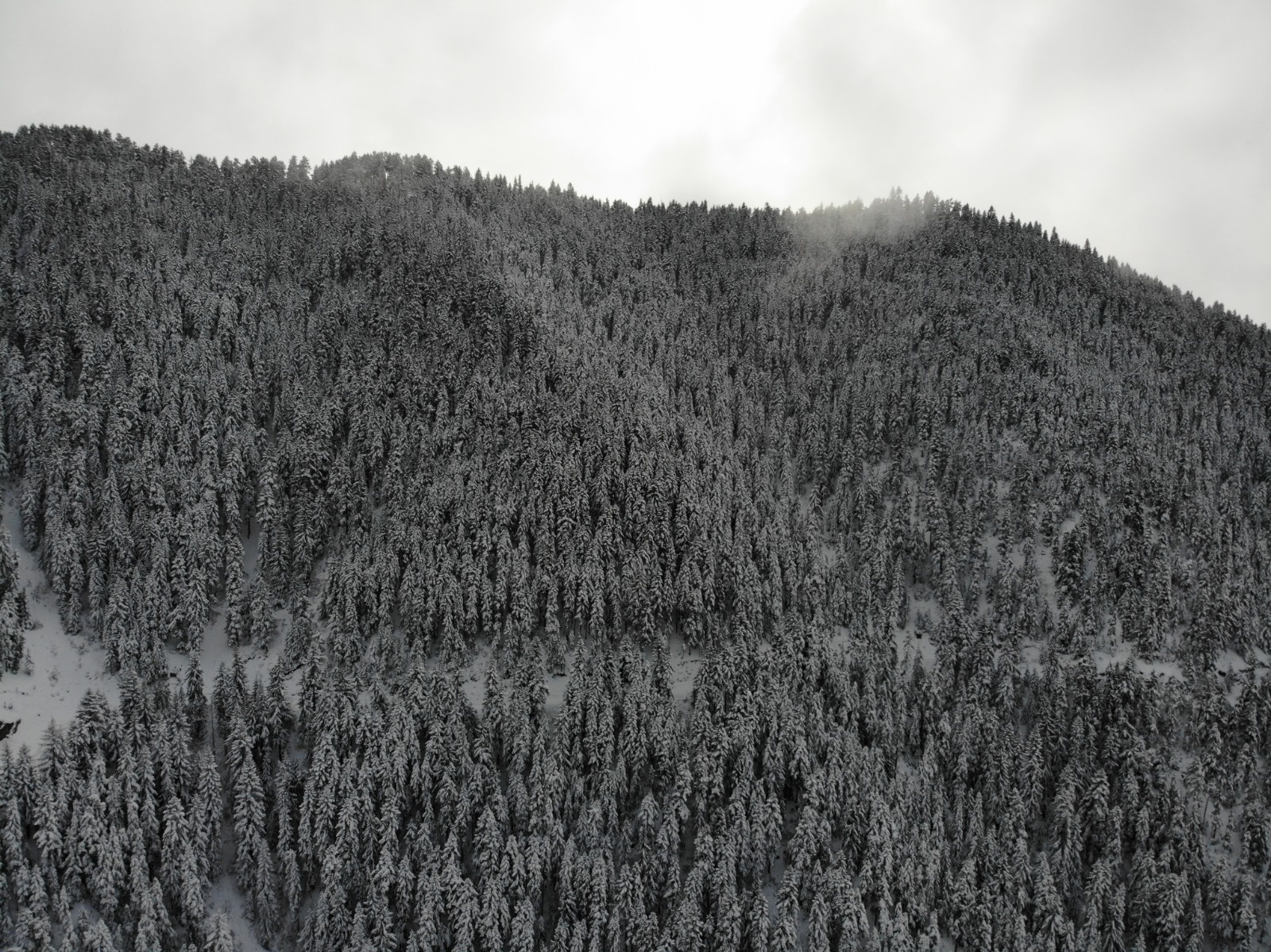 Zigana Dağı kar yağışının ardından eşsiz güzelliğe büründü 12
