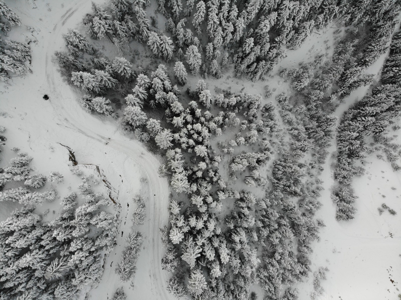 Zigana Dağı kar yağışının ardından eşsiz güzelliğe büründü 4