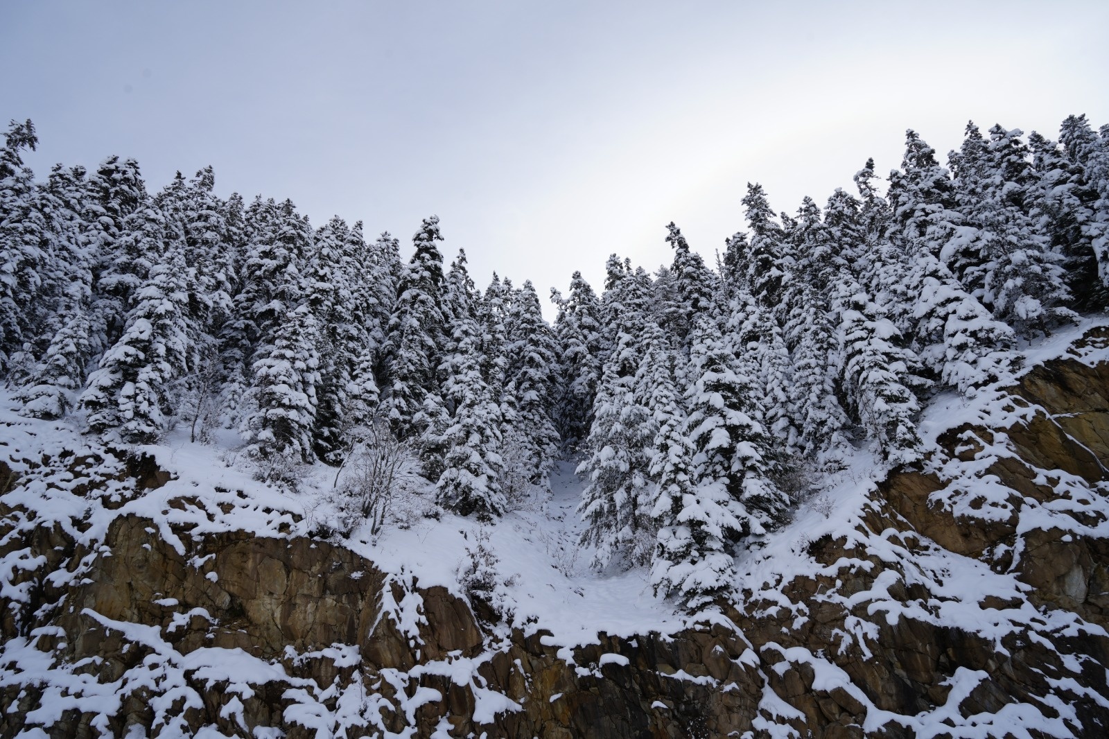 Zigana Dağı kar yağışının ardından eşsiz güzelliğe büründü 16