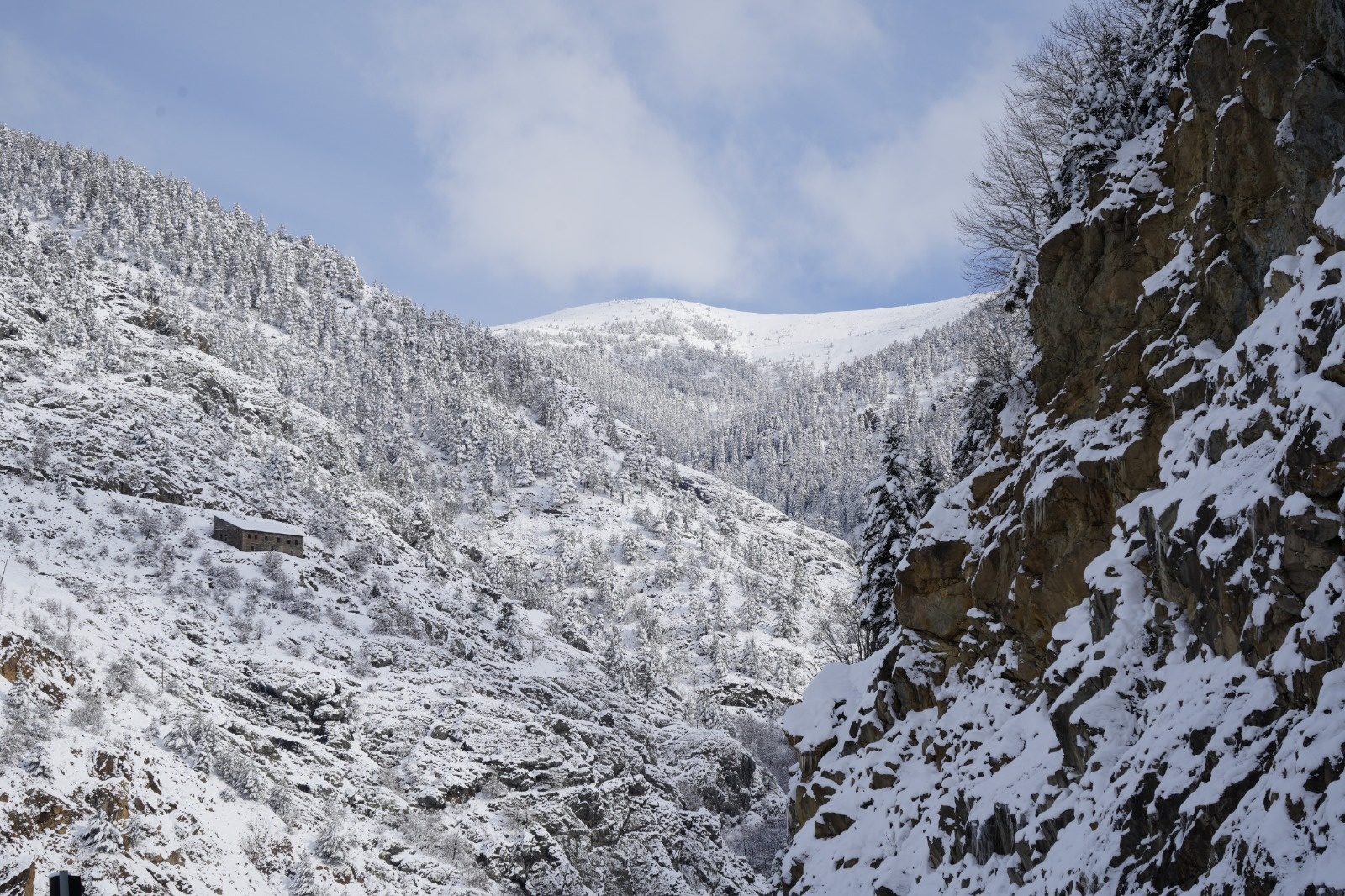 Zigana Dağı kar yağışının ardından eşsiz güzelliğe büründü 9
