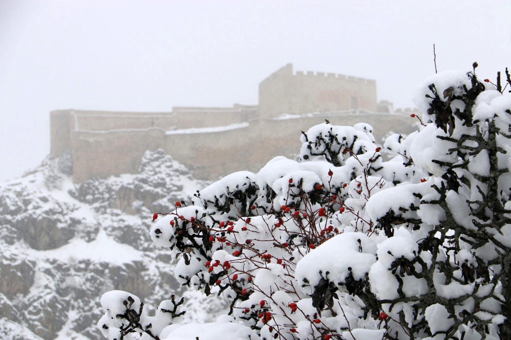Gümüşhane’de 152 genç kar altında tarihi kaleyi keşfetti 5