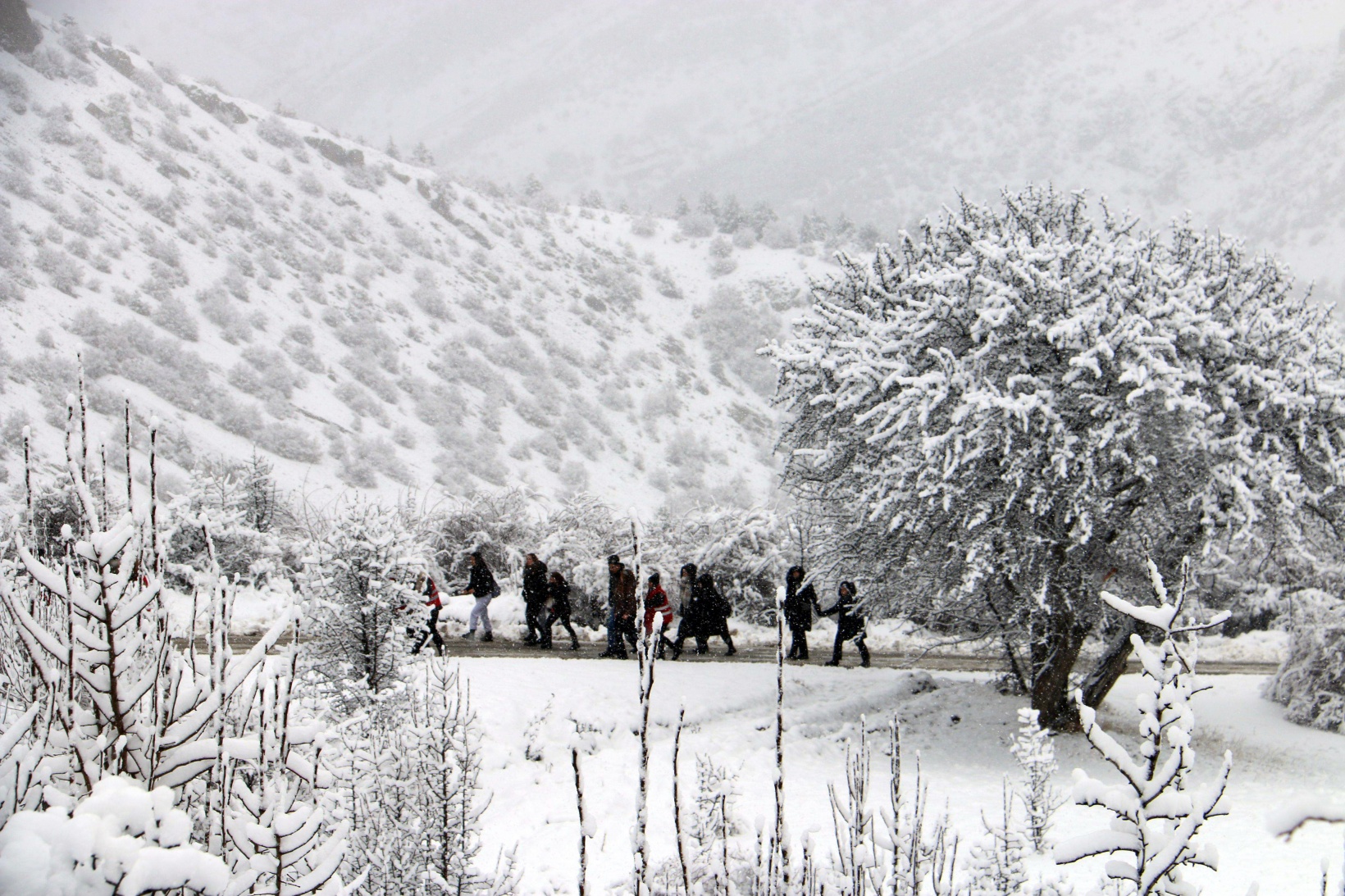 Gümüşhane’de 152 genç kar altında tarihi kaleyi keşfetti 9