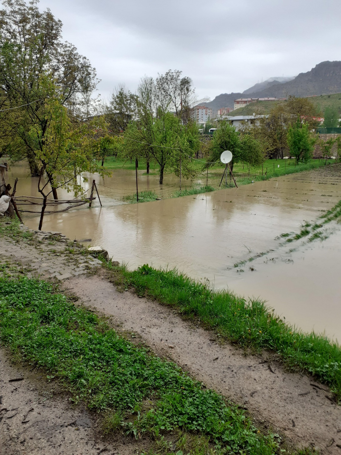 Dere Islahı Bahçeleri Vurdu: Harşit Çayı Taştı, Vatandaş Mağdur Oldu 6