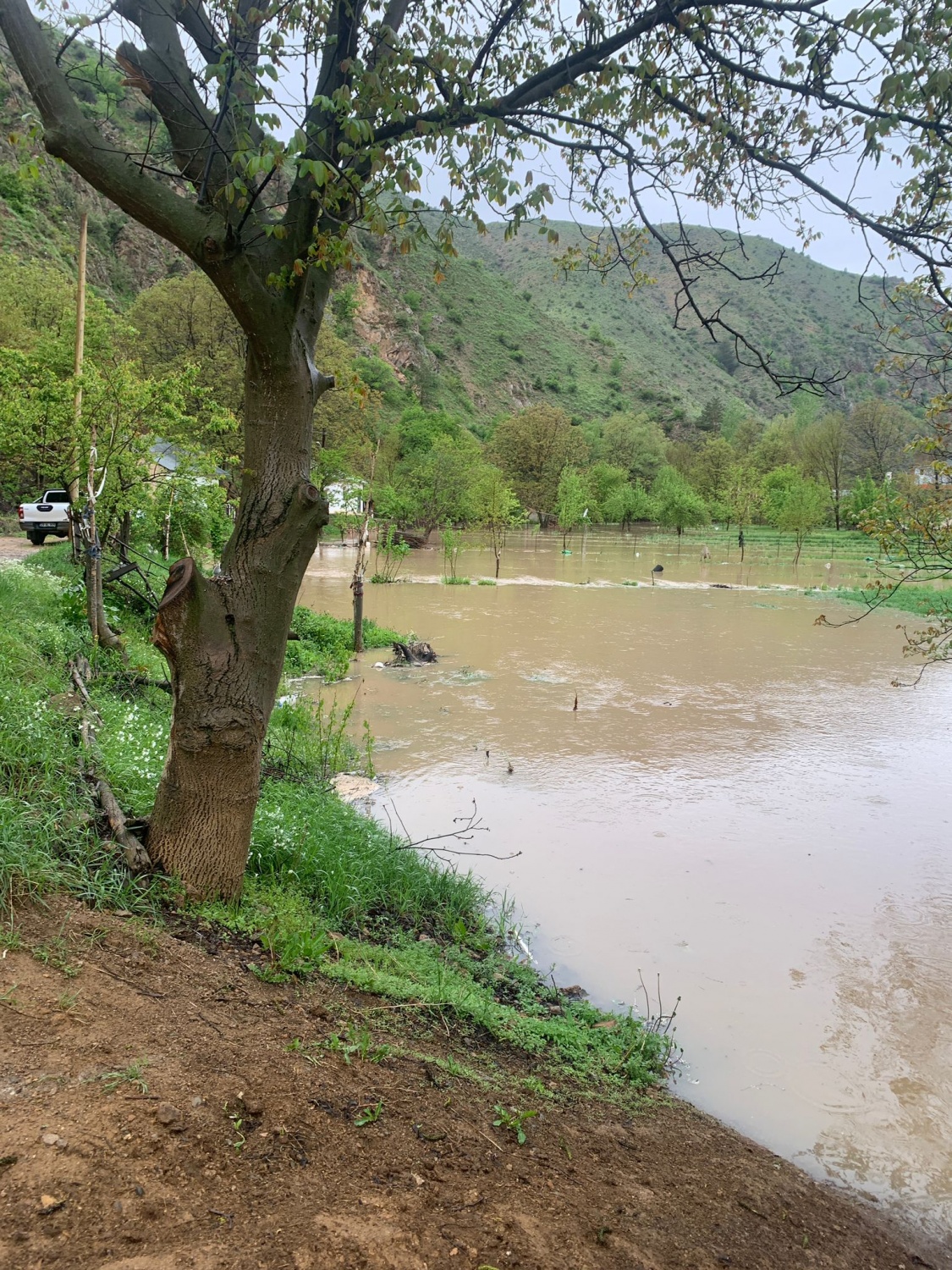 Dere Islahı Bahçeleri Vurdu: Harşit Çayı Taştı, Vatandaş Mağdur Oldu 27