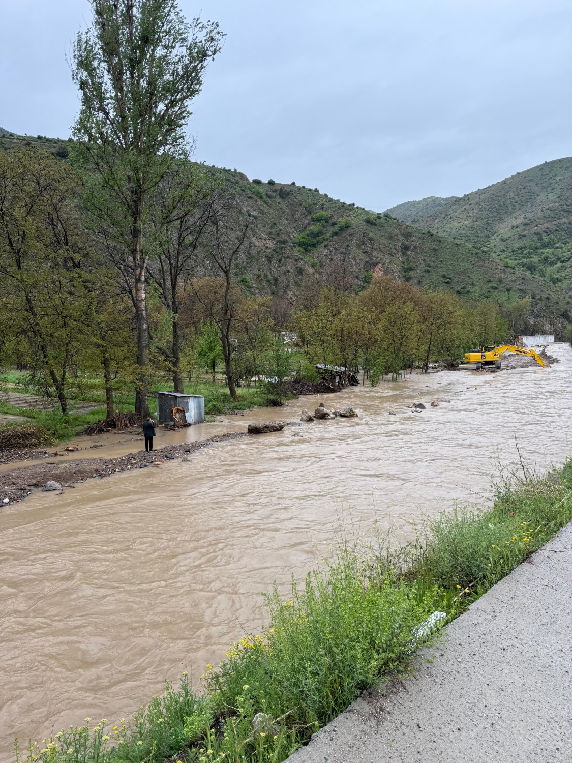 Dere Islahı Bahçeleri Vurdu: Harşit Çayı Taştı, Vatandaş Mağdur Oldu 17