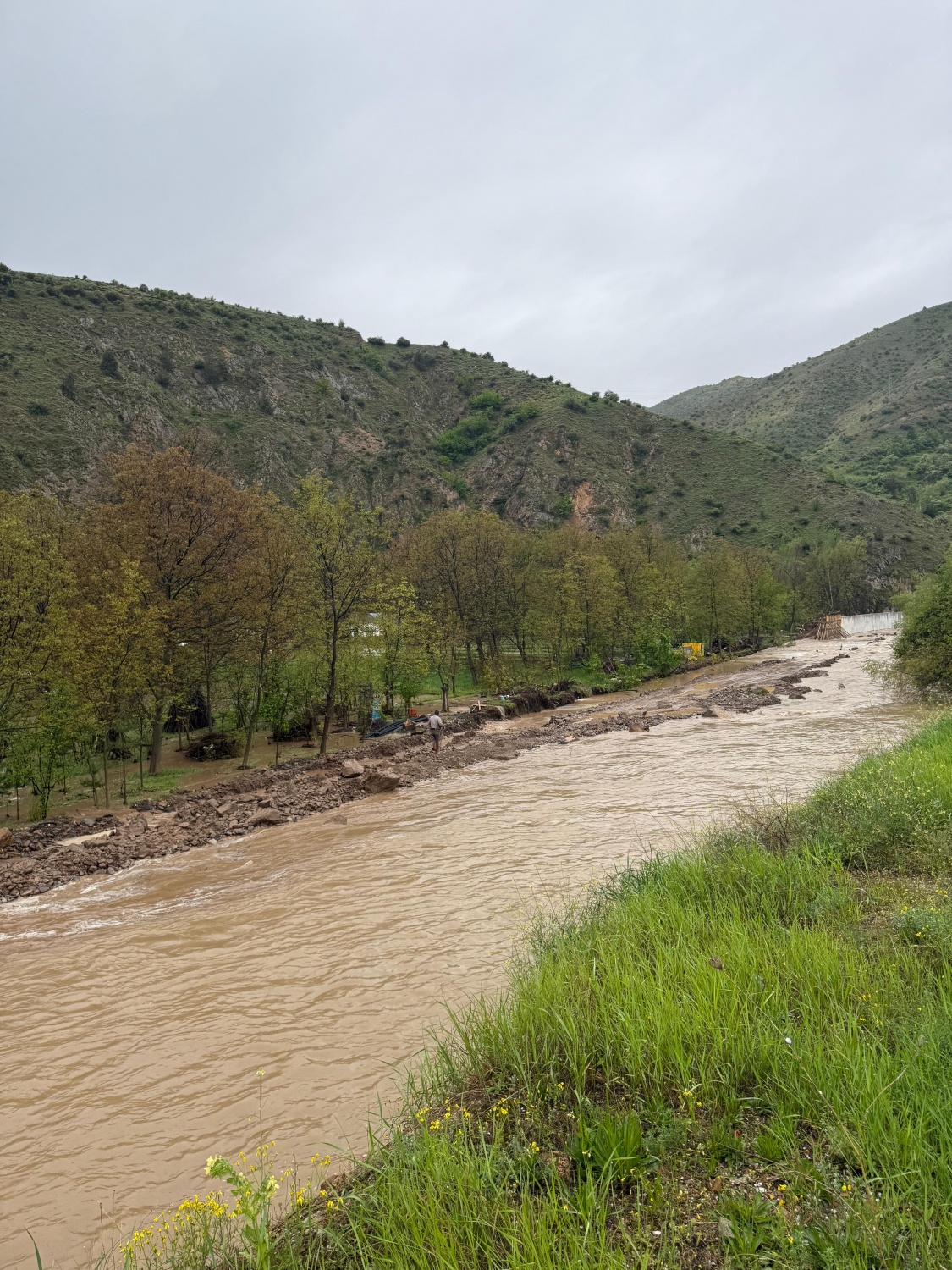 Dere Islahı Bahçeleri Vurdu: Harşit Çayı Taştı, Vatandaş Mağdur Oldu 18