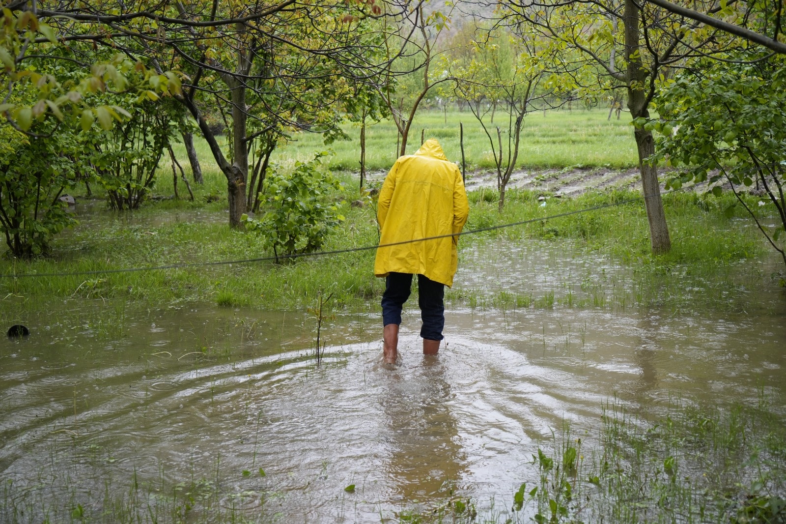 Dere Islahı Bahçeleri Vurdu: Harşit Çayı Taştı, Vatandaş Mağdur Oldu 25