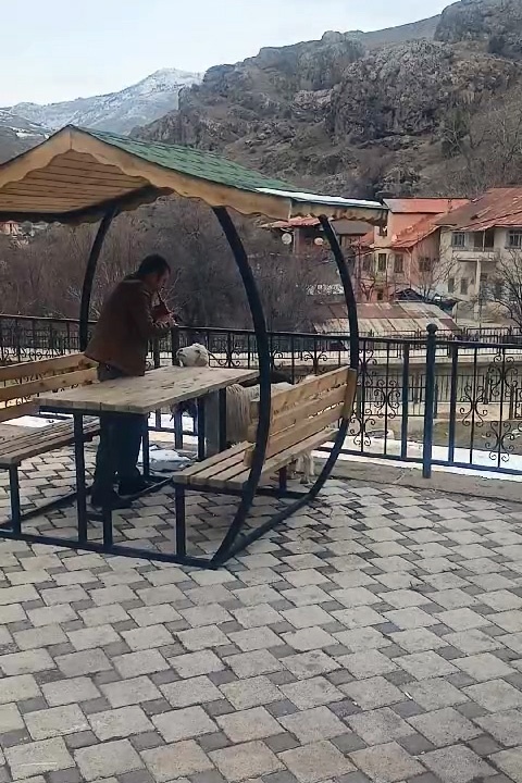 Keçiye “mey” konseri verdi, binlerce kez izlendi 7