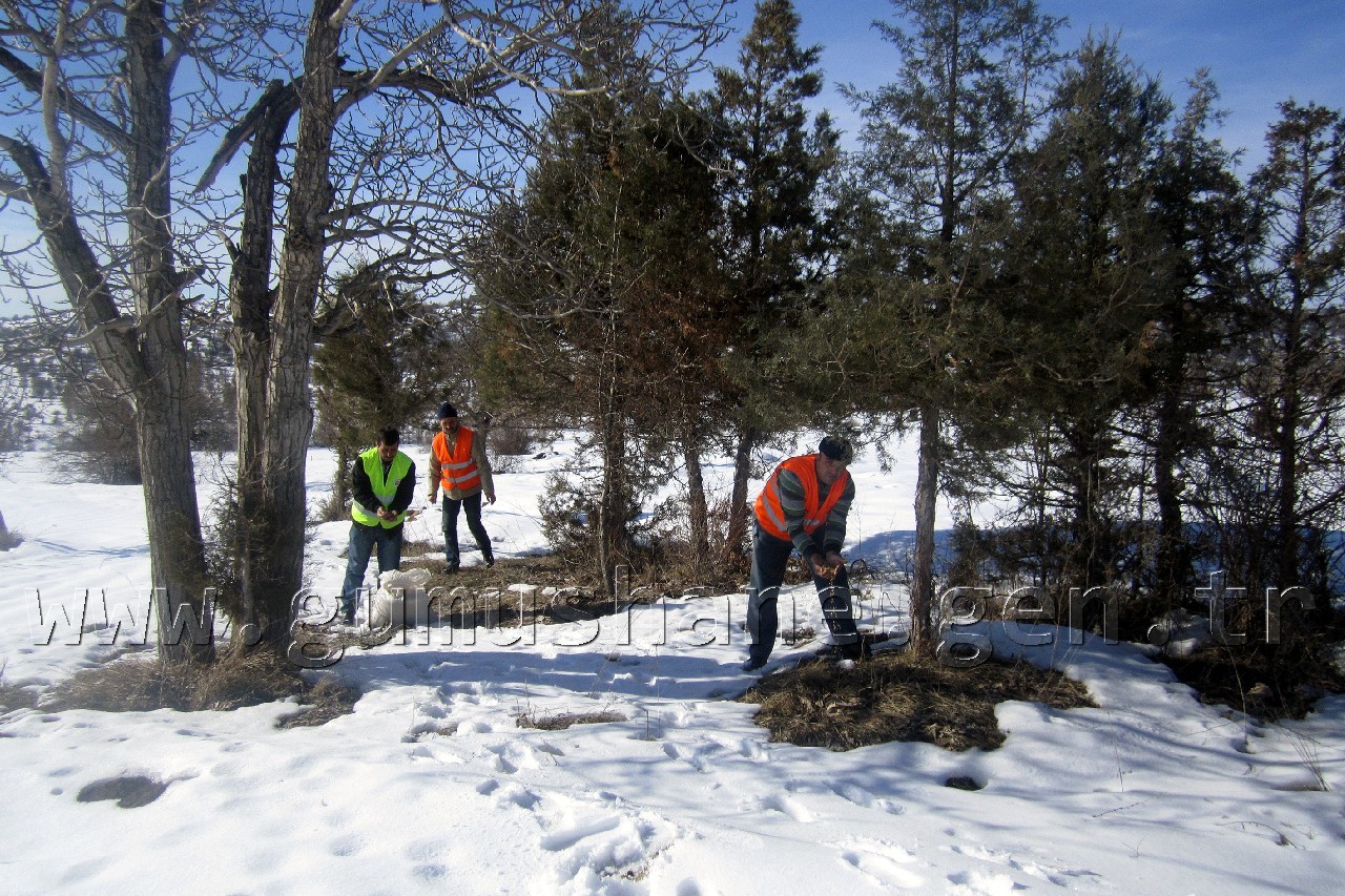 Şiran'da Yaban Hayvanları Unutulmuyor 2