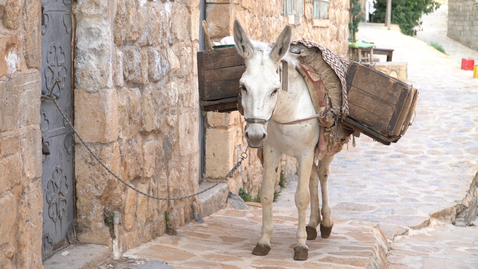 GÜ öğrencisi Kültür ve Turizm Bakanlığı’ndan destek aldı 6