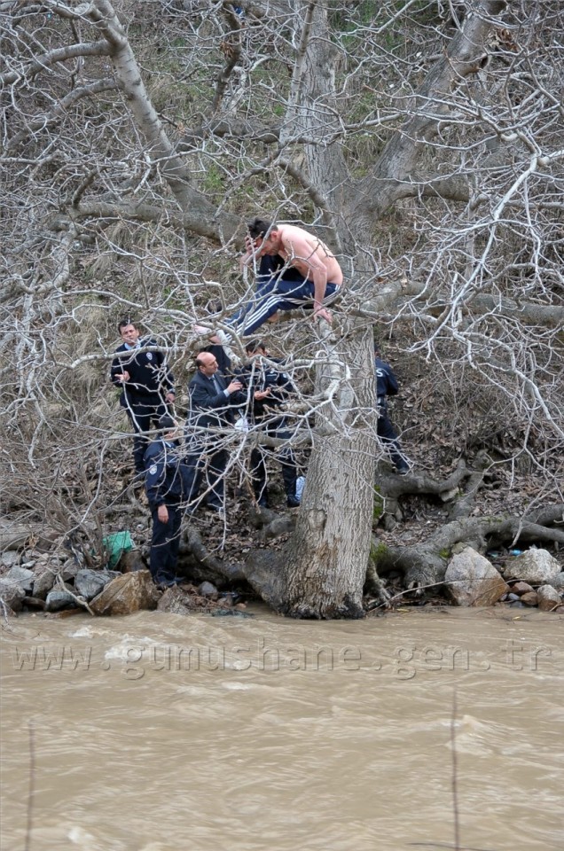 Gümüşhane'de İntihar Girişimi 3