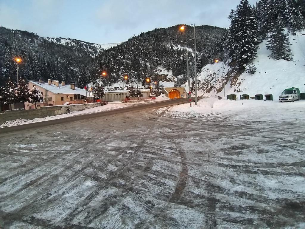 Gümüşhane’de sokak hayvanlarına şefkat eli 7