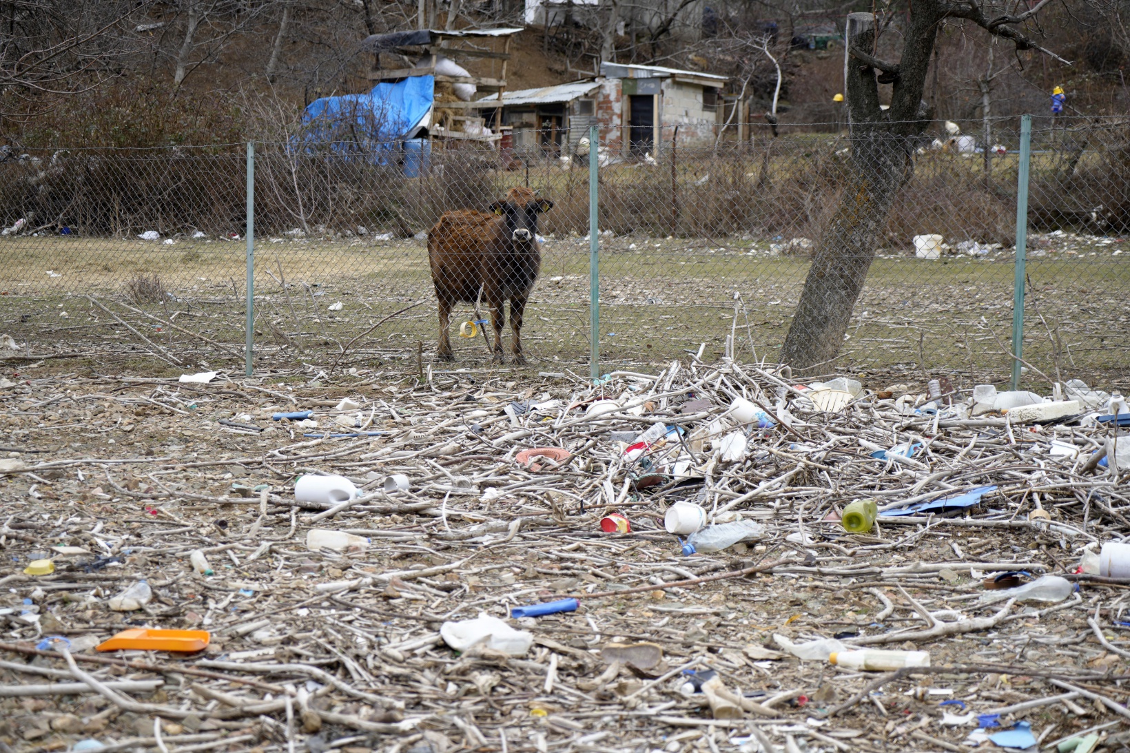 Bu mahallenin başı yıllardan beri baraj gölündeki çöplerle dertte 11