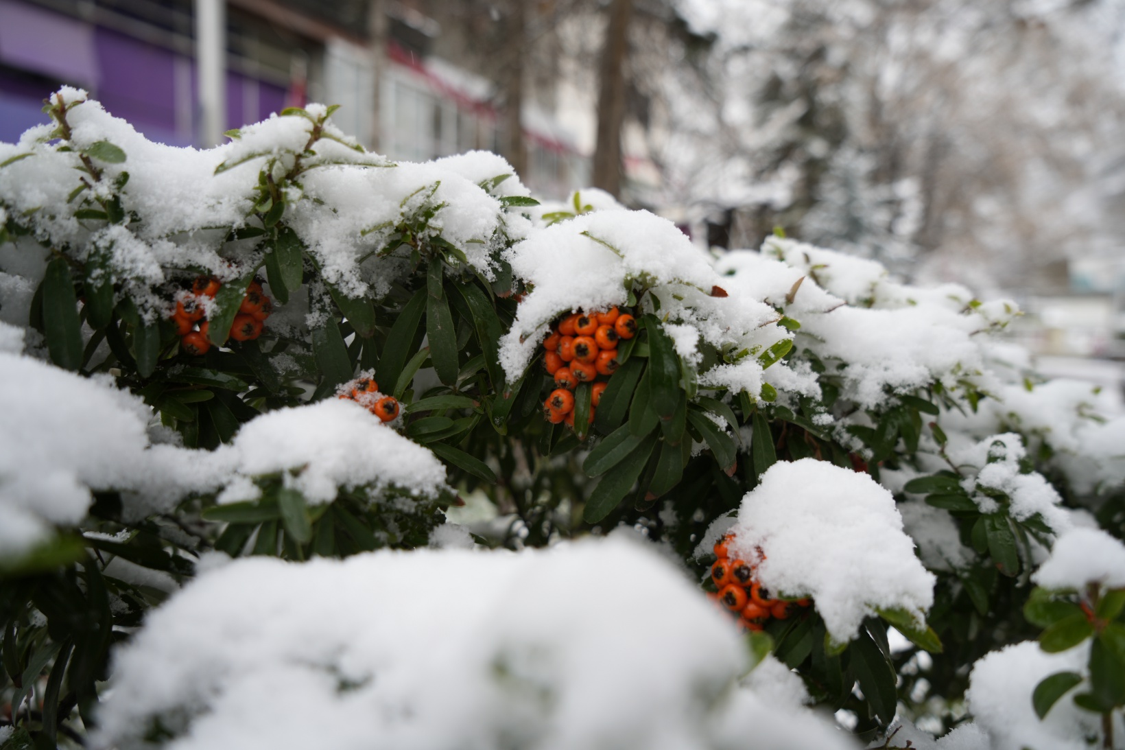 Gümüşhane’de Mart kapıdan baktırıyor 4