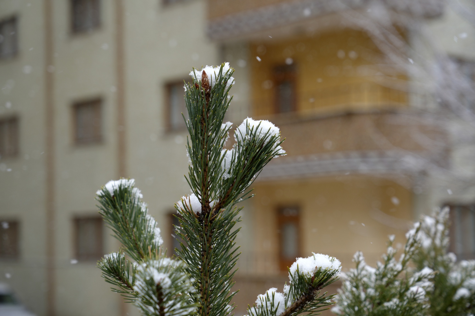 Gümüşhane kara kışı martta yaşıyor 5