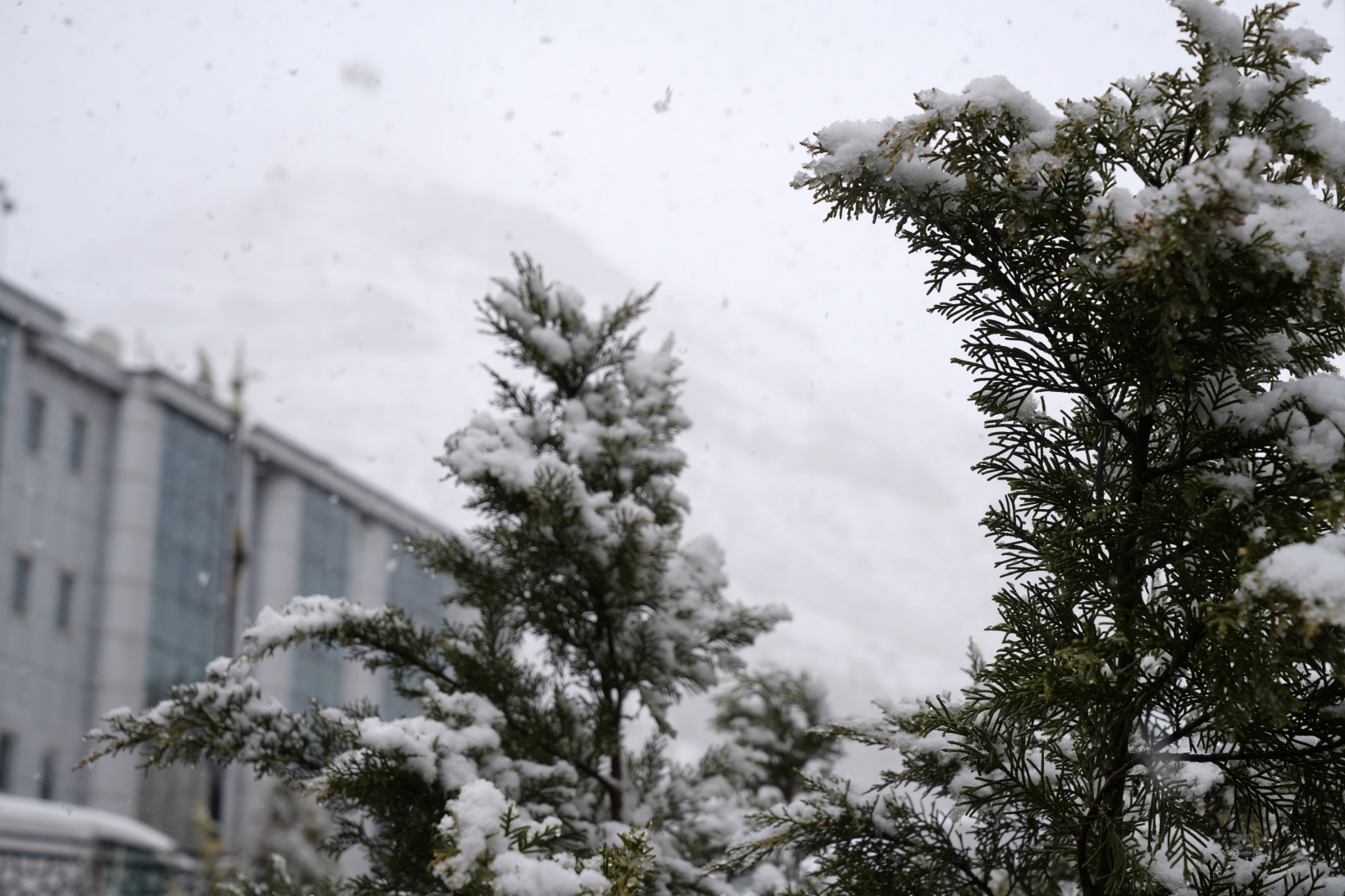 Gümüşhane kara kışı martta yaşıyor 2