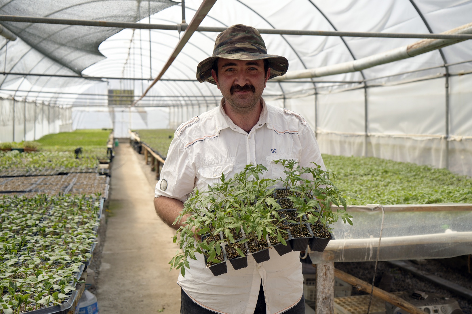 100 yıllık tohumlarla ‘Osmanlı domatesi’ fidesi üretiyor 1