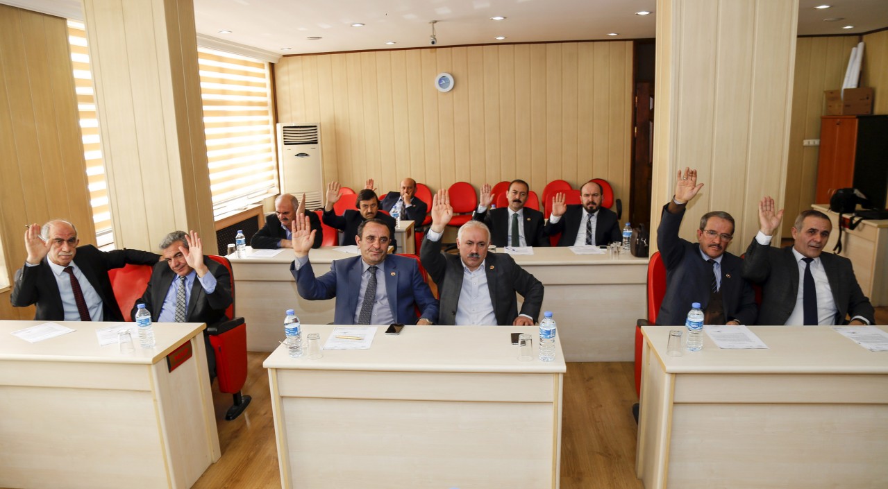 Aslan Meclise Brifing Verdi 2