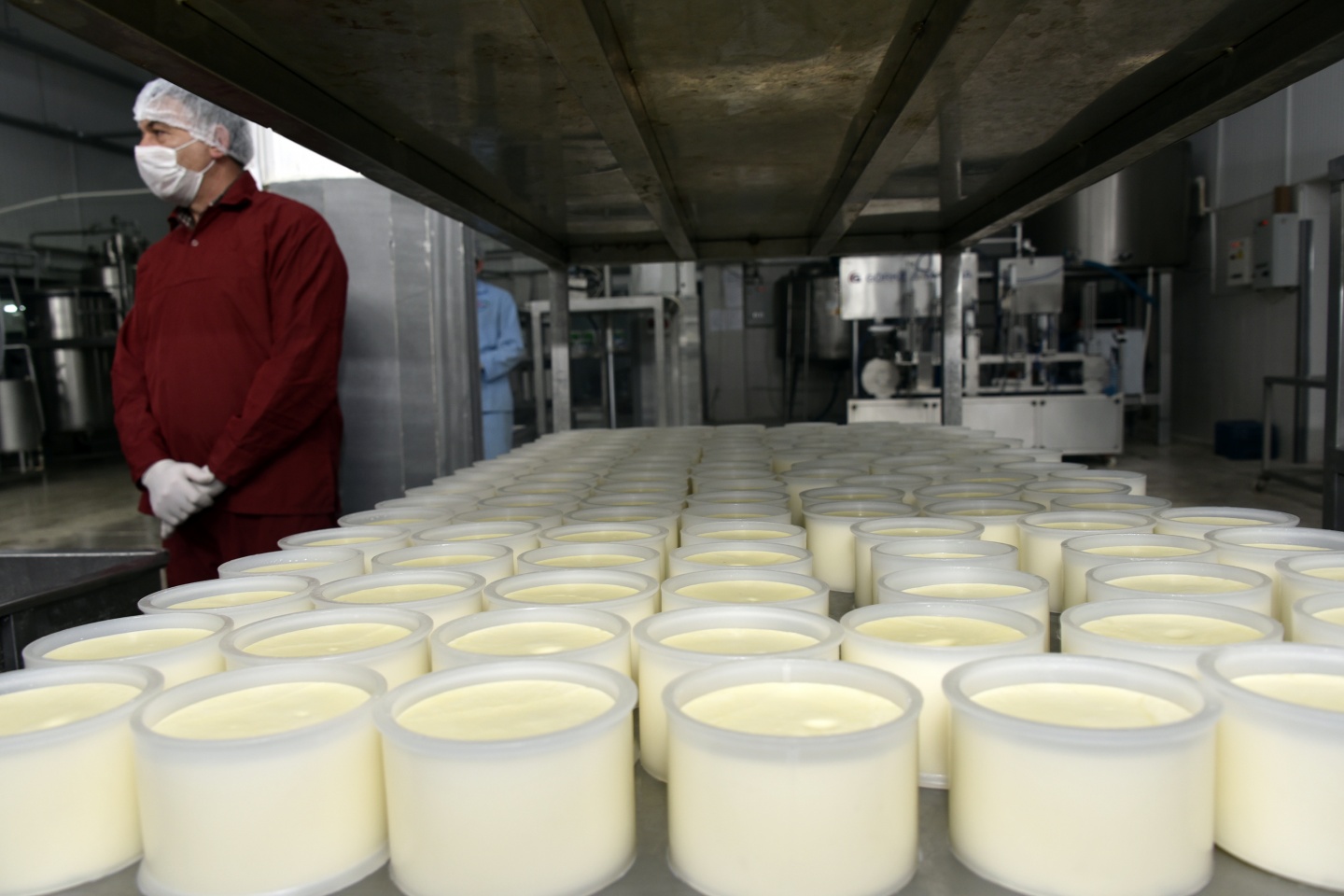 Vali Memiş, katkısız yoğurt ve peynir üretimini inceledi 3