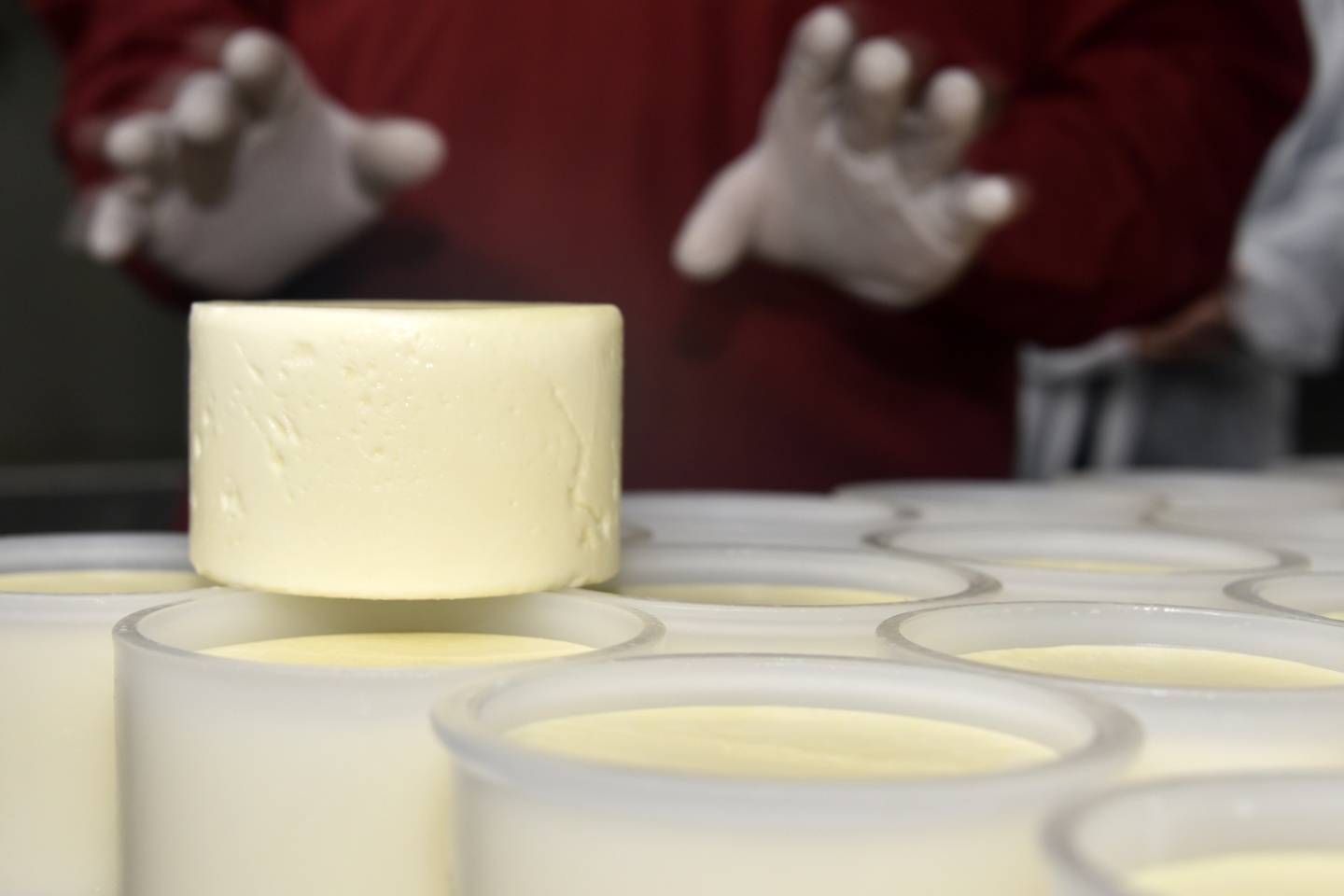 Vali Memiş, katkısız yoğurt ve peynir üretimini inceledi 7