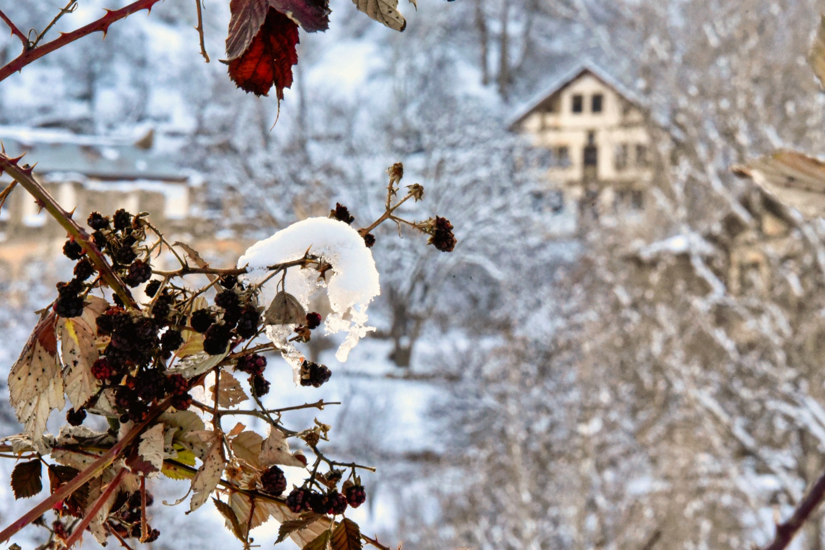 Tarihi kentte kış güzelliği 22