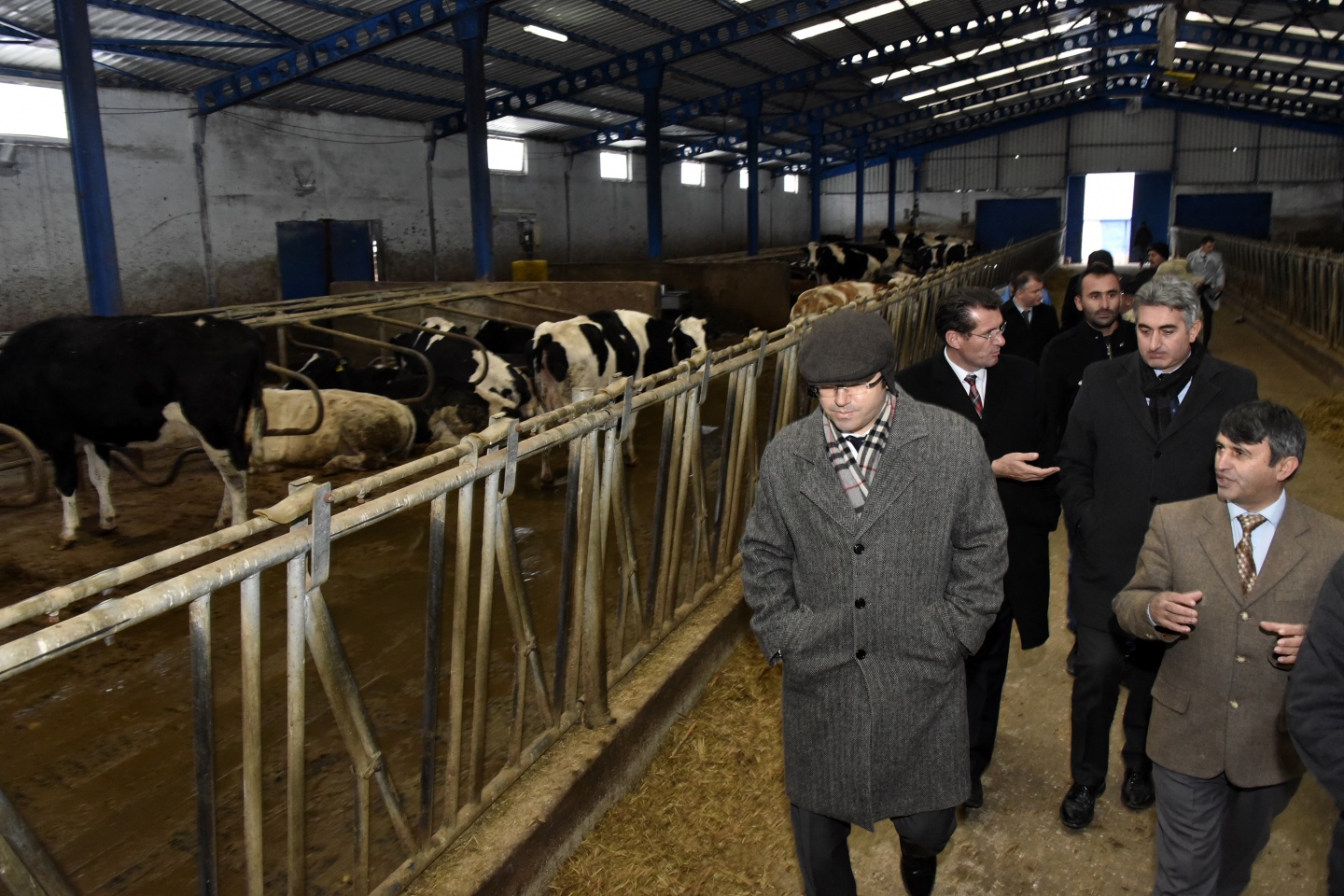 Vali Memiş: Bir mandıra, bir fabrika 3