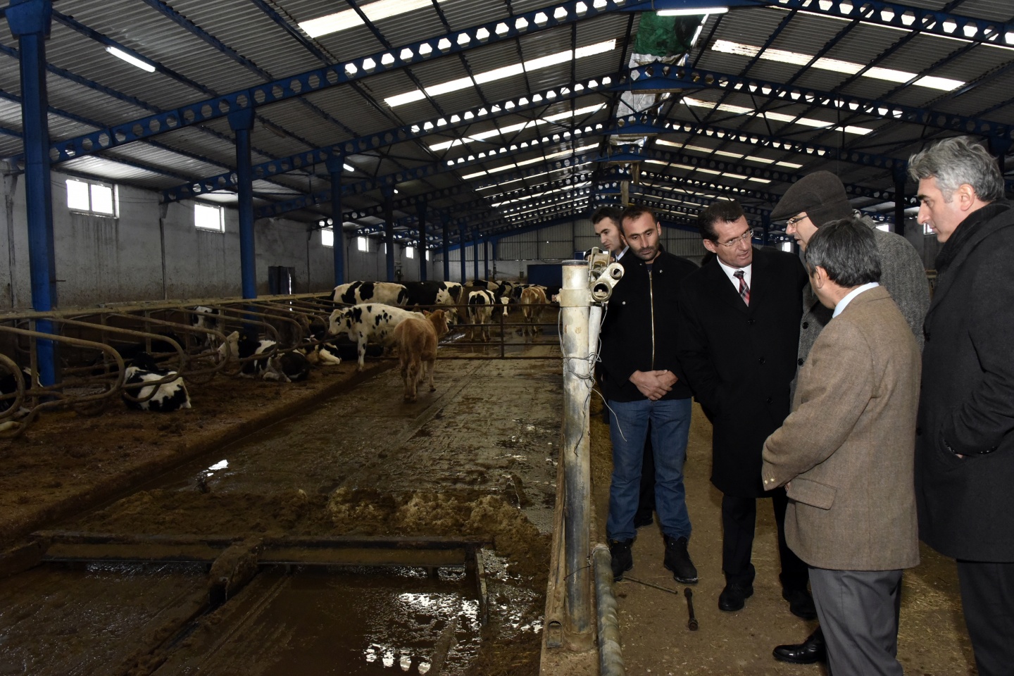 Vali Memiş: Bir mandıra, bir fabrika 1