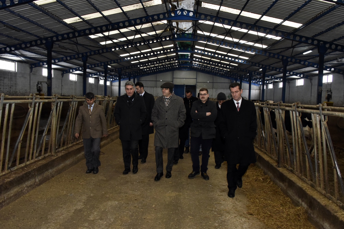 Vali Memiş: Bir mandıra, bir fabrika 2