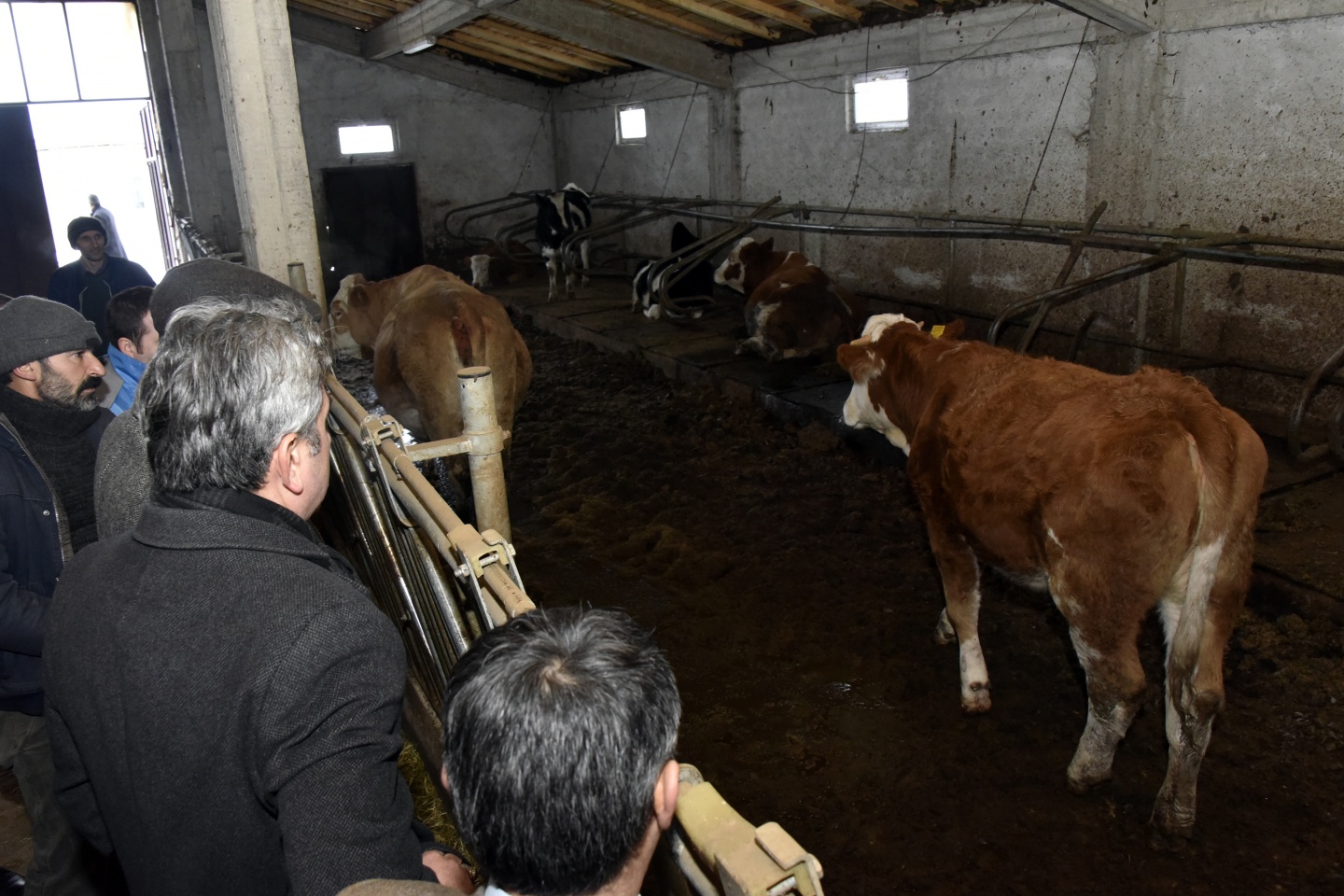 Vali Memiş: Bir mandıra, bir fabrika 11