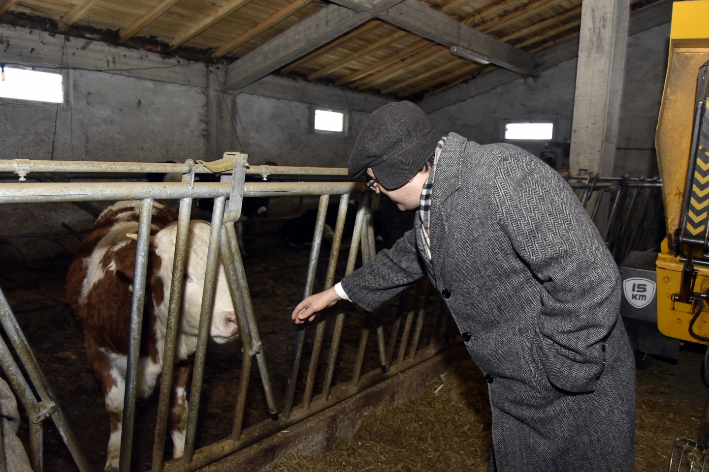 Vali Memiş: Bir mandıra, bir fabrika 8