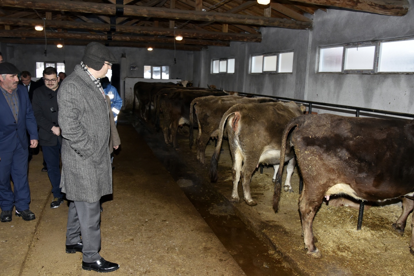 Vali Memiş: Bir mandıra, bir fabrika 10