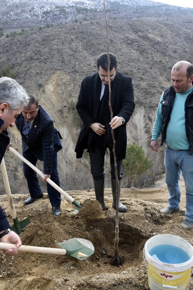 Gümüşhane’de ceviz seferberliği devam ediyor 1