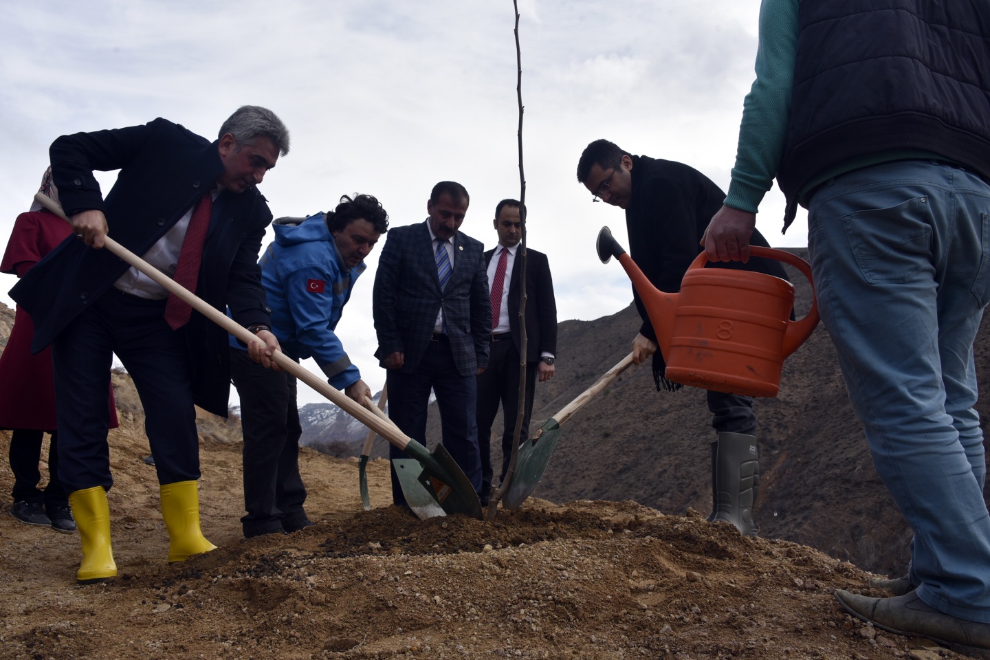 Gümüşhane’de ceviz seferberliği devam ediyor 3
