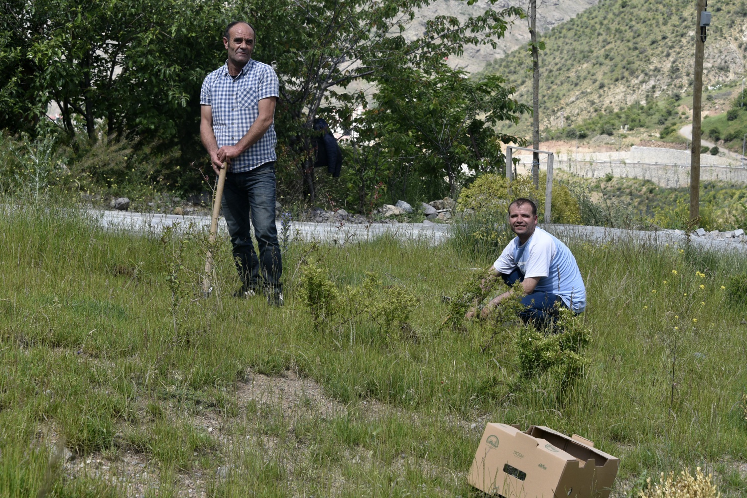Gümüşhane’de Lavanta Projesi Hayata Geçirildi 25